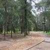 Bosque Los Colomos